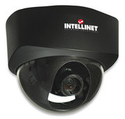 Intellinet NFD30 Network Dome Camera MPEG4 + Motion