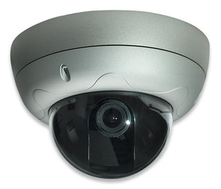 Intellinet PRO SERIES NETWORK HIGH RES Dome Camera VARI